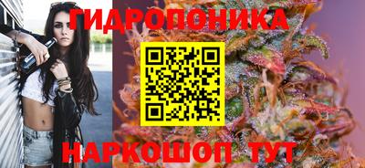 твердый Моздок