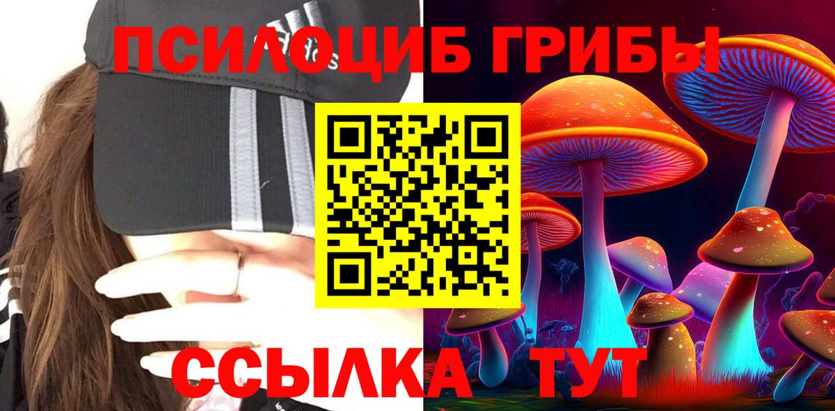 Галлюциногенные грибы Magic Shrooms  купить   Вязьма 