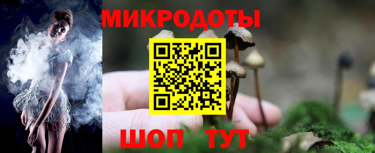 Галлюциногенные грибы Psilocybe Вязьма